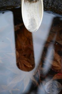 Japanese garden details, a waterjar with bamboo spout