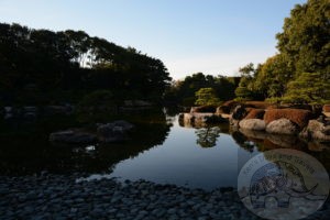 Peaceful garden in Japan