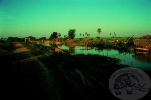 canal fishing nets