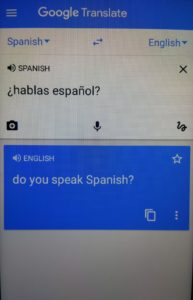 interrogation by google translator