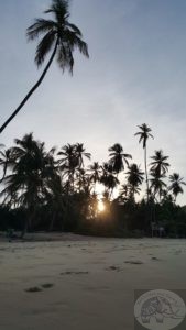 peaceful beach area in choroni venezuela