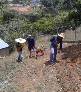 a temporary farmer