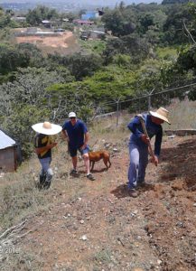 working the land in Venezuela