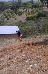 clearing the land for seeding