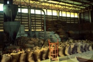 feed mill preparing concentrate