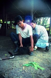 Helping on the farm