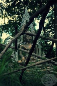 A sacred Buddha image int eh jungle