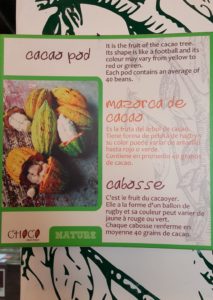 chocolate pod poster at chocolate shop in lima peru