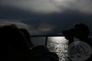 silhouette on the lake going back to puno