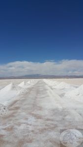 salt piles waiting to be collected