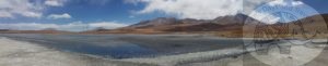 high in the andes, this lake is a source of life for many animals