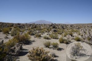 The Eduardo Avaroa Andean Fauna National Reserve, Bolivia