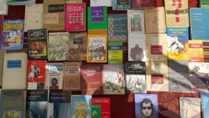 books for sale in market, chile