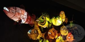 fish display in museum