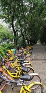 bkicycles on the sidewalk