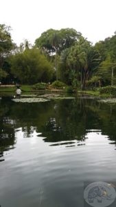 botanic garden rio de janeiro