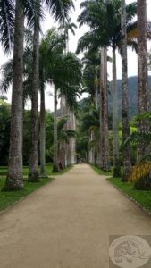 botanic garden Rio